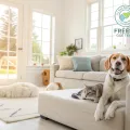 The Pet Odor Fix With No Smell and 10,000 Rave Reviews